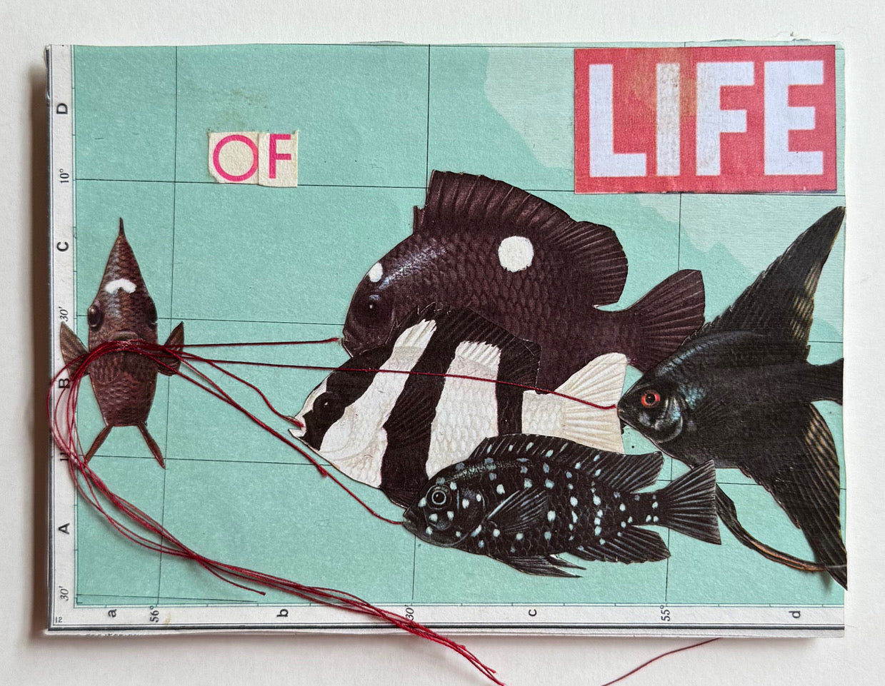 Postcard Collage (School of Life)