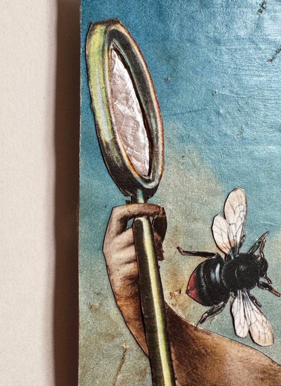 Postcard Collage (Mirror, Bee, Shell)