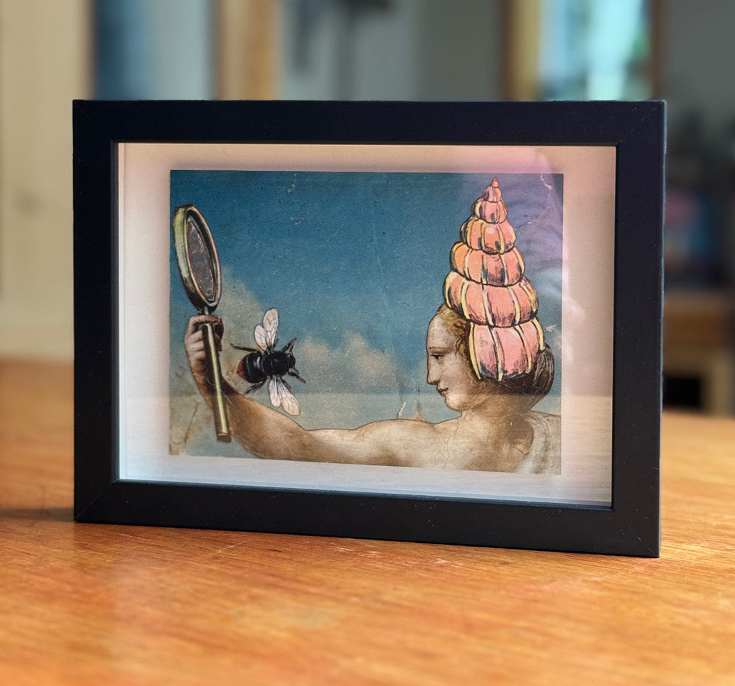 Postcard Collage (Mirror, Bee, Shell)