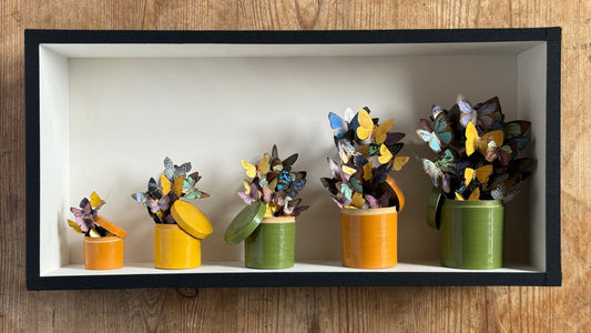 Butterflies and Pots