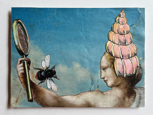 Postcard Collage (Mirror, Bee, Shell)